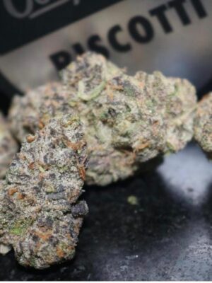 biscotti mintz strain