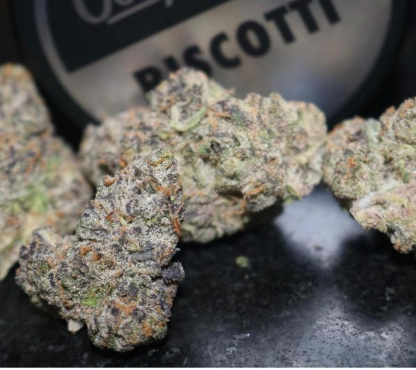 biscotti mintz strain