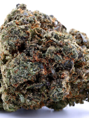 blue lobster strain​
