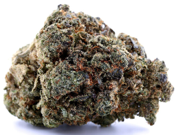 blue lobster strain​