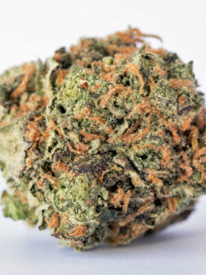gary payton strains