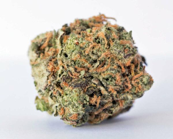 gary payton strains