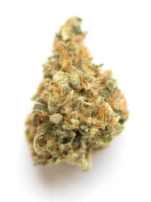 berlin cannabis kaufen